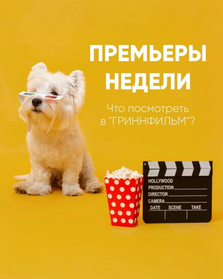 Пора окунуться в мир кино! — фото 1 из 4